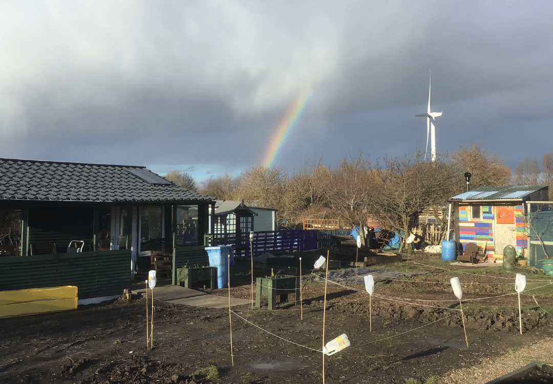Grow Group @ The Allotment: February Highlights