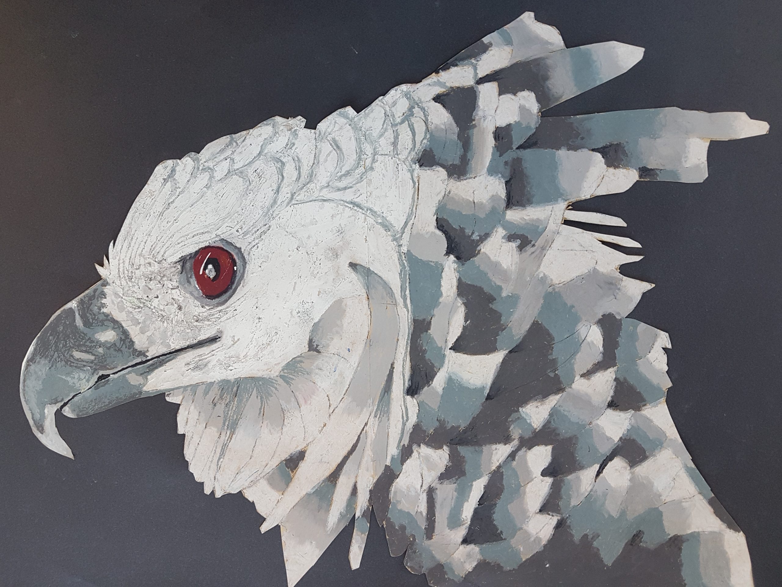 Sarah Fonville - Harpy Eagle